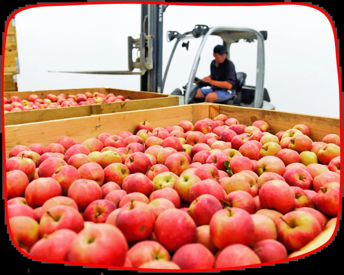 Тургеневские сады - фотографии компании