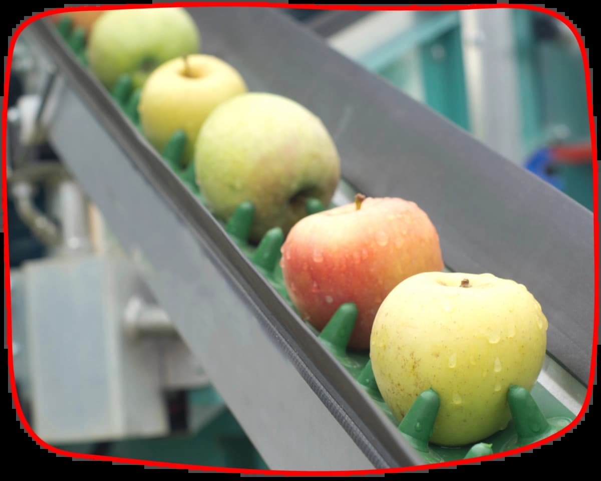 Тургеневские сады - фотографии компании