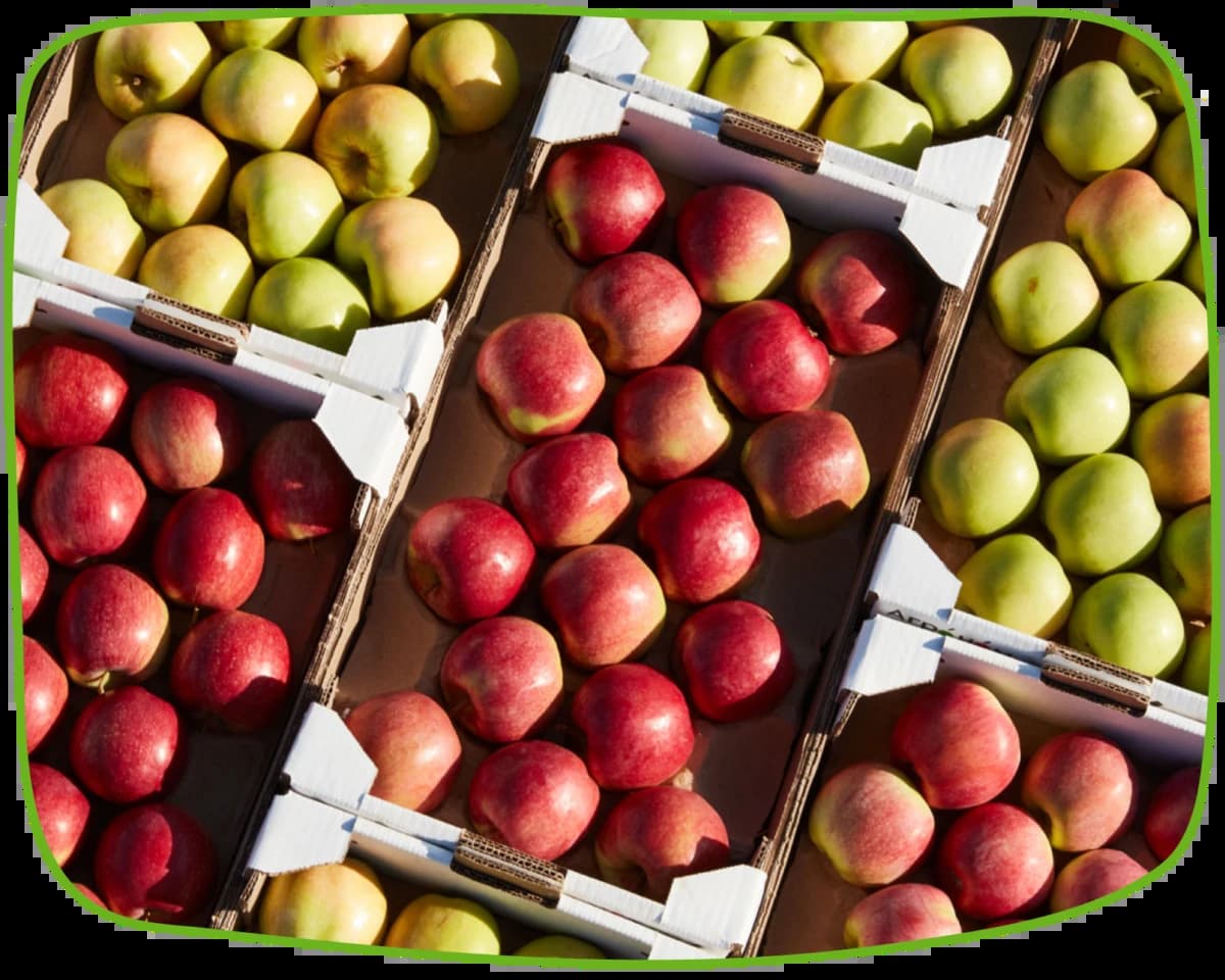 Тургеневские сады - фотографии компании