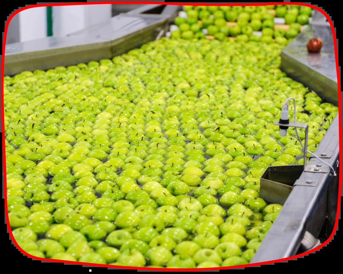 Тургеневские сады - фотографии компании