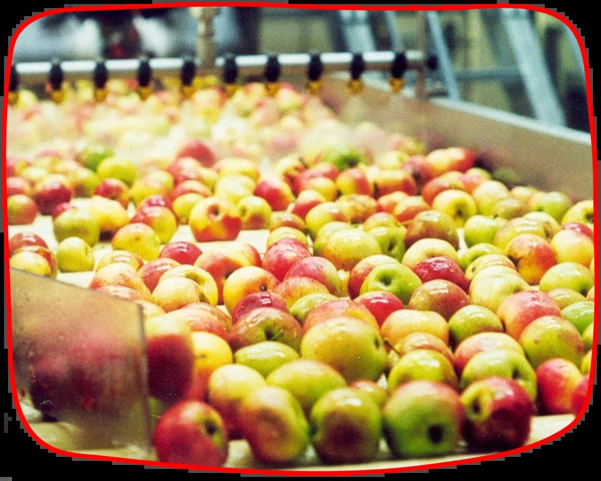 Тургеневские сады - фотографии компании